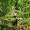 2021-Orienteering